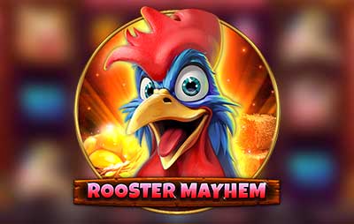 Rooster Mayhem